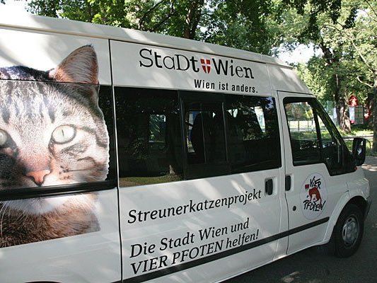 Das Streunerkatzenmobil ist wieder on tour Das Streunerkatzenmobil ist wieder on tour