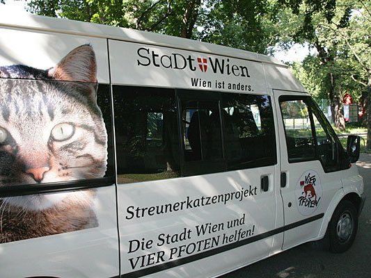 Das Streunerkatzenmobil ist wieder on tour