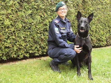 "Cantor" nach seinem erfolgreichen Einsatz. "Cantor" nach seinem erfolgreichen Einsatz.