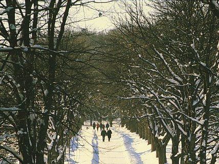 Die Winterruhe im Lainzer Tiergarten ist beendet.