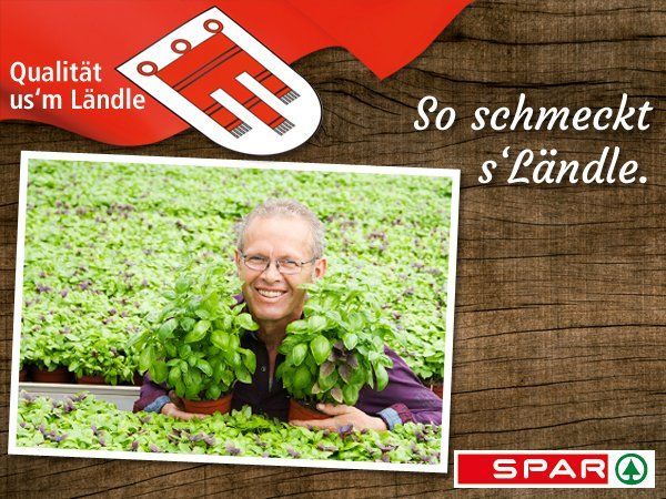Otto Alge und seine Bio-Basilikum-Töpfe gehören zum Standard-Sortiment aller 99 SPAR-Märkte in Vorarlberg. (Bild honorarfrei, © SPAR) Otto Alge und seine Bio-Basilikum-Töpfe gehören zum Standard-Sortiment aller 99 SPAR-Märkte in Vorarlberg. (Bild honorarfrei, © SPAR)