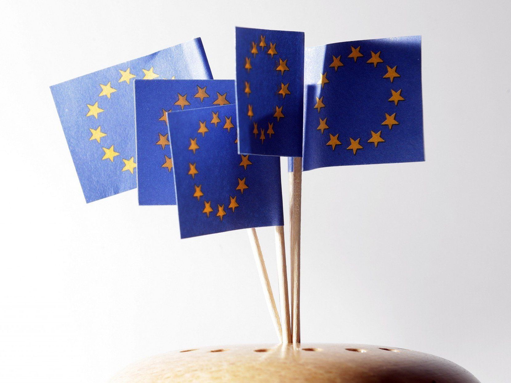 Das sind die Spitzenkandidaten der EU-Wahl 2014. Das sind die Spitzenkandidaten der EU-Wahl 2014.