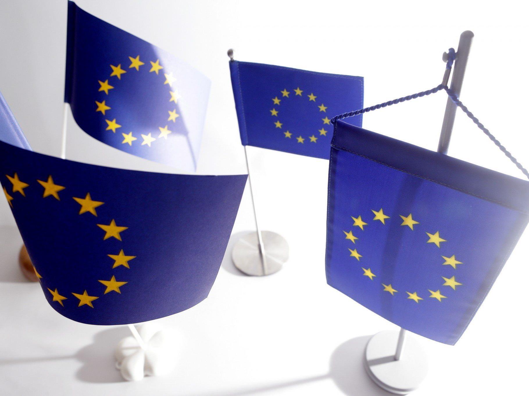 Mitte März startet das Unterschriftensammeln für die EU-Wahl 2014.