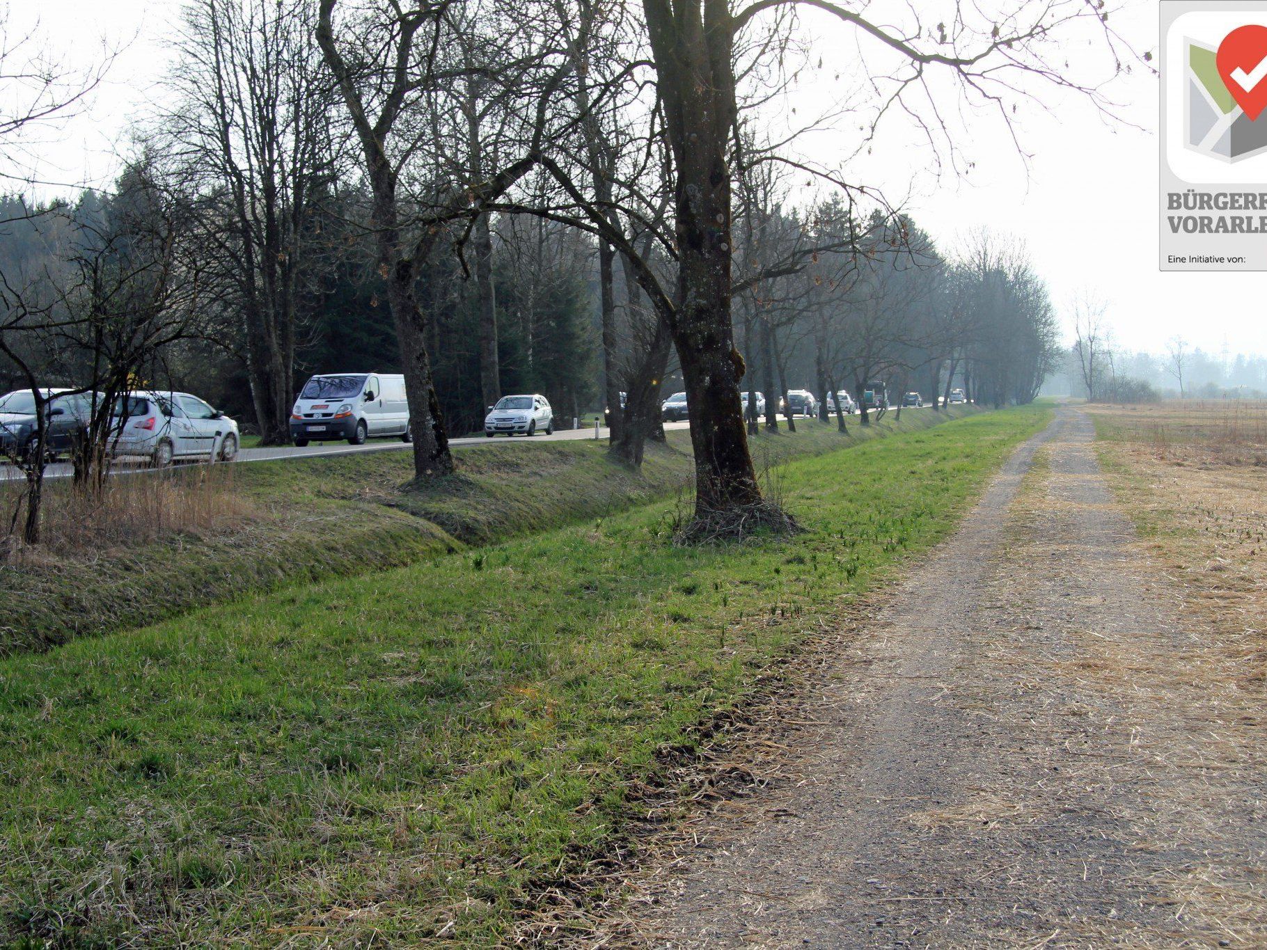 Radfahrer sollten auf den Schotterweg ausweichen, so der Vorschlag im Forum. Radfahrer sollten auf den Schotterweg ausweichen, so der Vorschlag im Forum.
