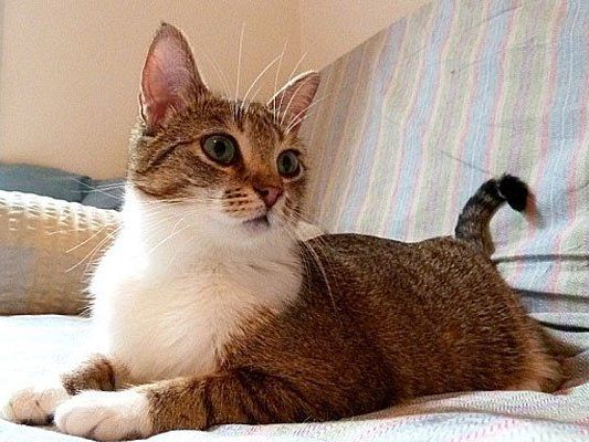 Das ist Missy Das ist Missy