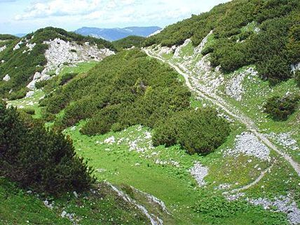 Ein Wiener geriet auf der Rax in Bergnot