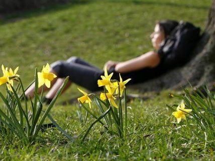 Was hilft wirklich gegen die alljährliche Frühjahrsmüdigkeit? Was hilft wirklich gegen die alljährliche Frühjahrsmüdigkeit?