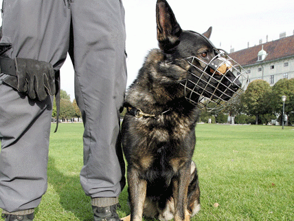Polizeihunde wurden bei der Suche nach Karin G. eingesetzt. Polizeihunde wurden bei der Suche nach Karin G. eingesetzt.