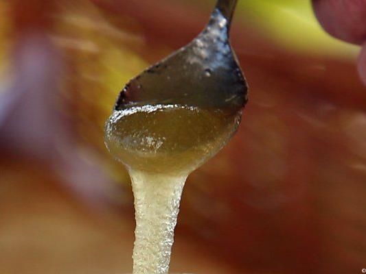 Gentechnisch veränderte Honig-Bestandteile möglich