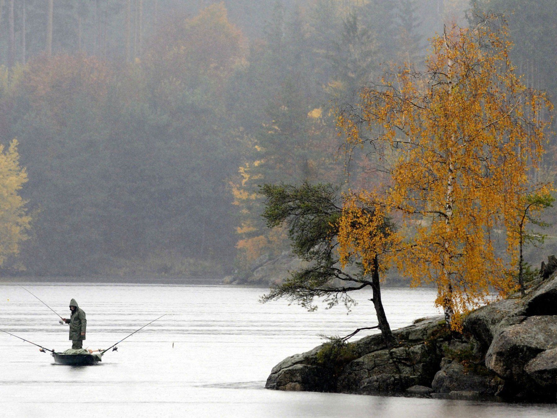 Einen ungewöhnlichen Fang machte Fischer in Norwegen. Einen ungewöhnlichen Fang machte Fischer in Norwegen.
