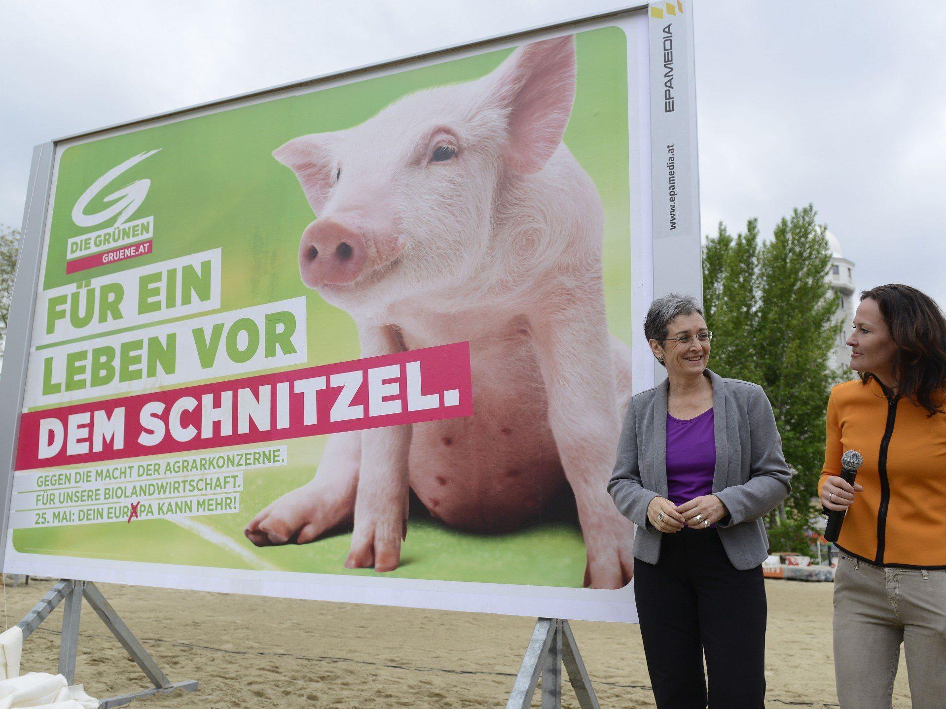 Das sind die neuen Plakate der Grünen zur Europawahl 2014.