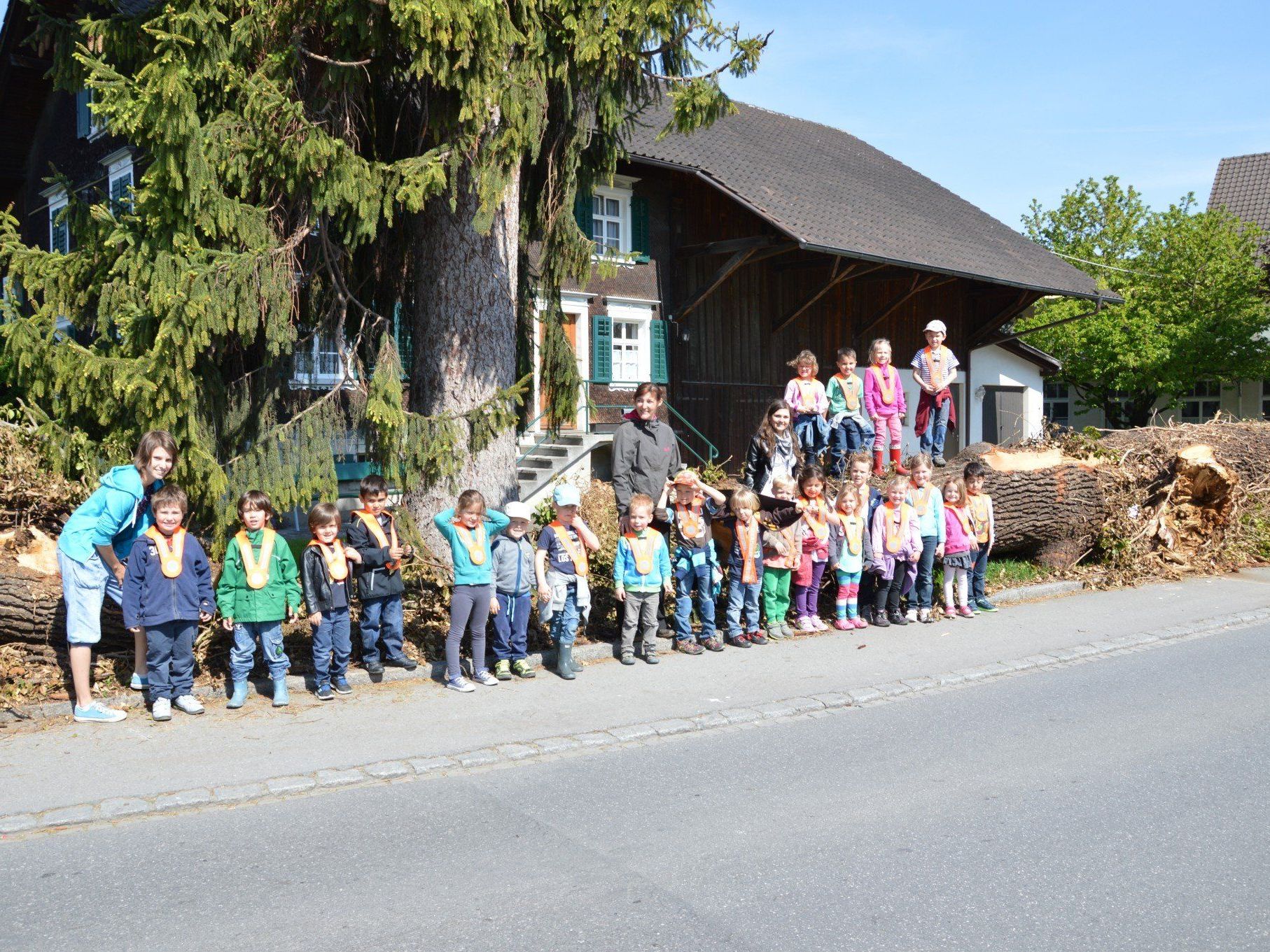Die Igel-Gruppe vom Kindergarten Rosenlächerstraße vor der umgefallenen Eiche Die Igel-Gruppe vom Kindergarten Rosenlächerstraße vor der umgefallenen Eiche