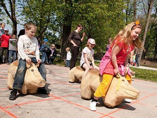 Auch dieses Jahr wird wieder das beliebte Rudi-Rüssel-Wildschweinrennen angeboten Auch dieses Jahr wird wieder das beliebte Rudi-Rüssel-Wildschweinrennen angeboten