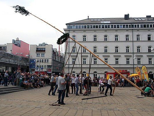 Eine Herausforderung, der man sich gemeinsam stellt: das Aufstellen des Maibaums