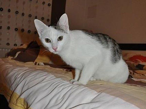 Das ist Melina Das ist Melina