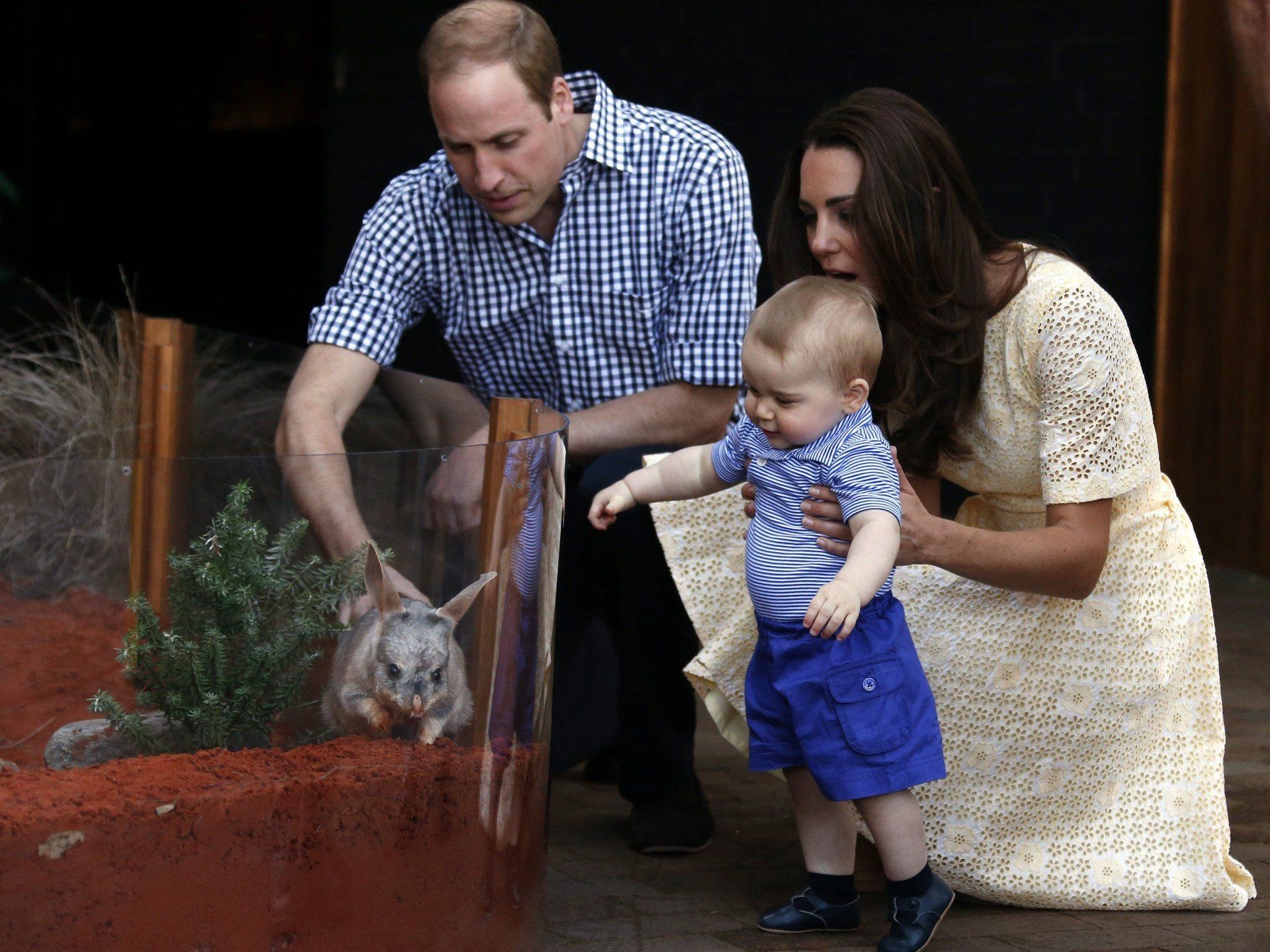 Besuch der Royals in Sydneys Zoo.