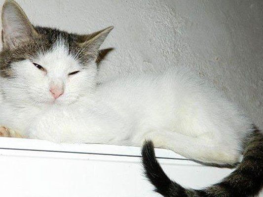 Das ist die süße Sunny Das ist die süße Sunny