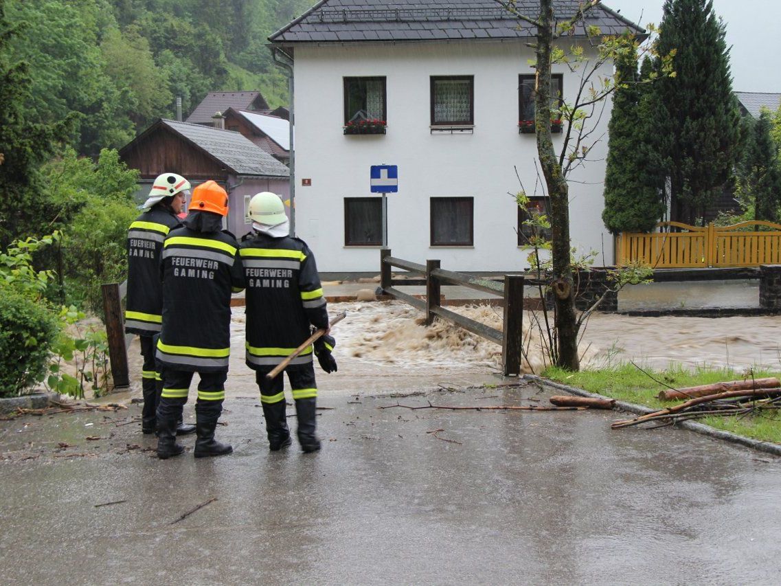 Pegel sinkt - nur nicht in Niederösterreich Pegel sinkt - nur nicht in Niederösterreich