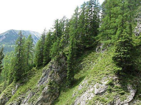 Pensionistin aus Wien beim Wandern tödlich verunglückt. Pensionistin aus Wien beim Wandern tödlich verunglückt.