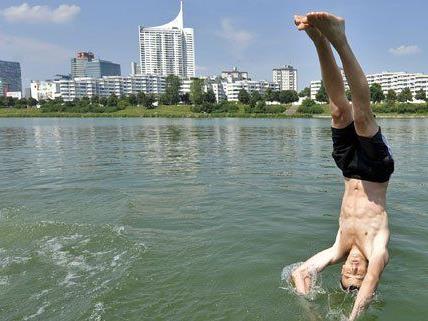 Bald kann man wieder in der Neuen Donau baden.