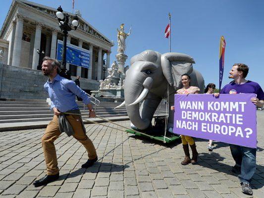 Europa anders-Spitzenkandidat Ehrenhauser dreht eine "Elefantenrunde" durch Wien.