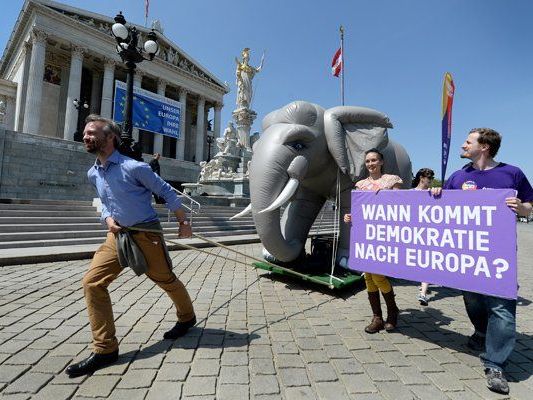 Europa anders-Spitzenkandidat Ehrenhauser dreht eine "Elefantenrunde" durch Wien. Europa anders-Spitzenkandidat Ehrenhauser dreht eine "Elefantenrunde" durch Wien.