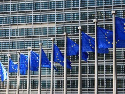 Wahlkampfkosten werden nach der EU-Wahl erstattet. Wahlkampfkosten werden nach der EU-Wahl erstattet.