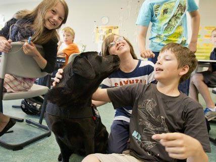 Ministerin Gabriele Heinisch-Hosek will mehr Hunde in Klassenzimmern einsetzen.