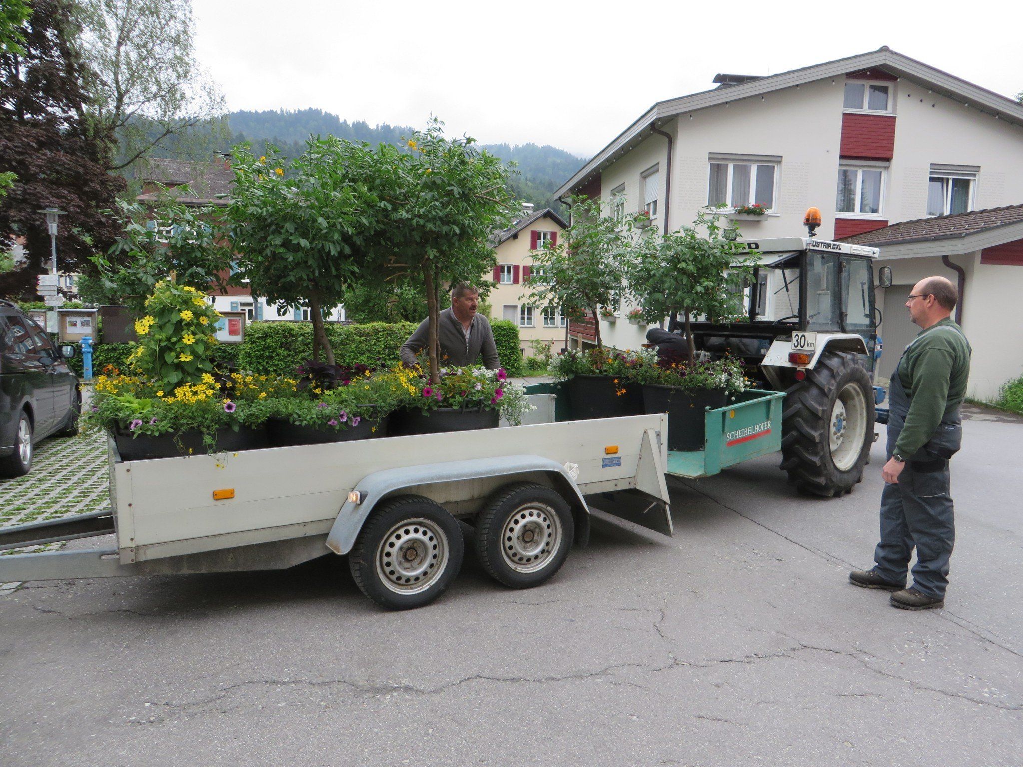 Verteilen der "Blumenpunkte" durch OGV Alberschwende Verteilen der "Blumenpunkte" durch OGV Alberschwende