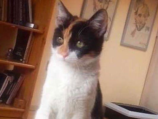 Das ist Letty Das ist Letty