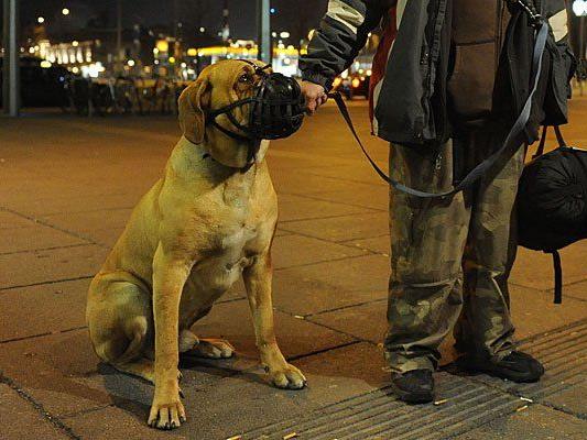 Bei einer Amtshandlung gegen "Herumlungernde" erlitt ein Polizist einen Hundebiss
