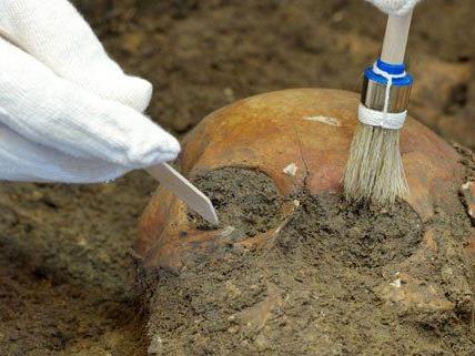 Archäologen haben in Wien "vergessene Gräber" freigelegt.