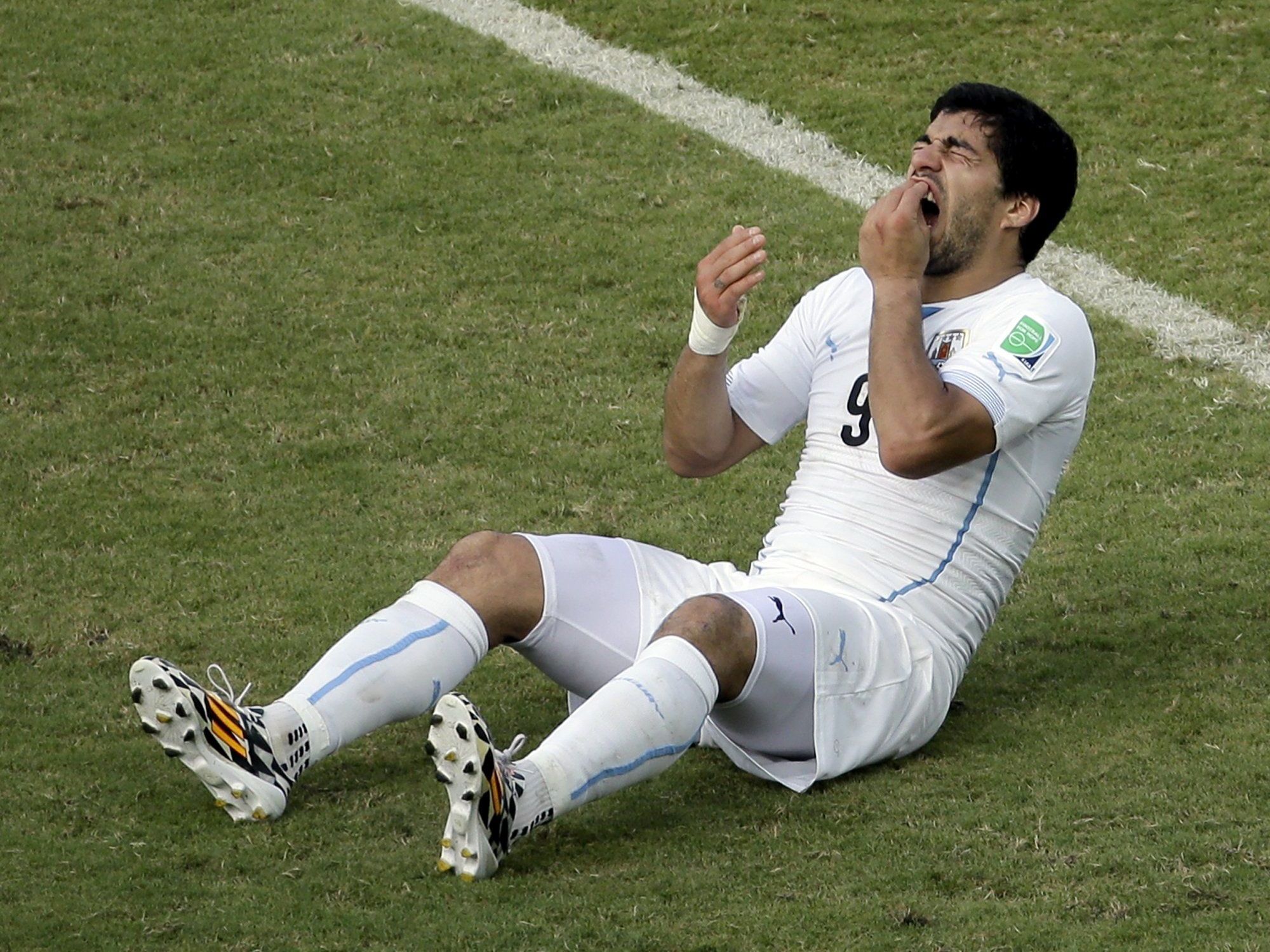 Der südamerikanische Fußball-Verband will eine Reduzierung der Strafe gegen Luis Suarez. Der südamerikanische Fußball-Verband will eine Reduzierung der Strafe gegen Luis Suarez.