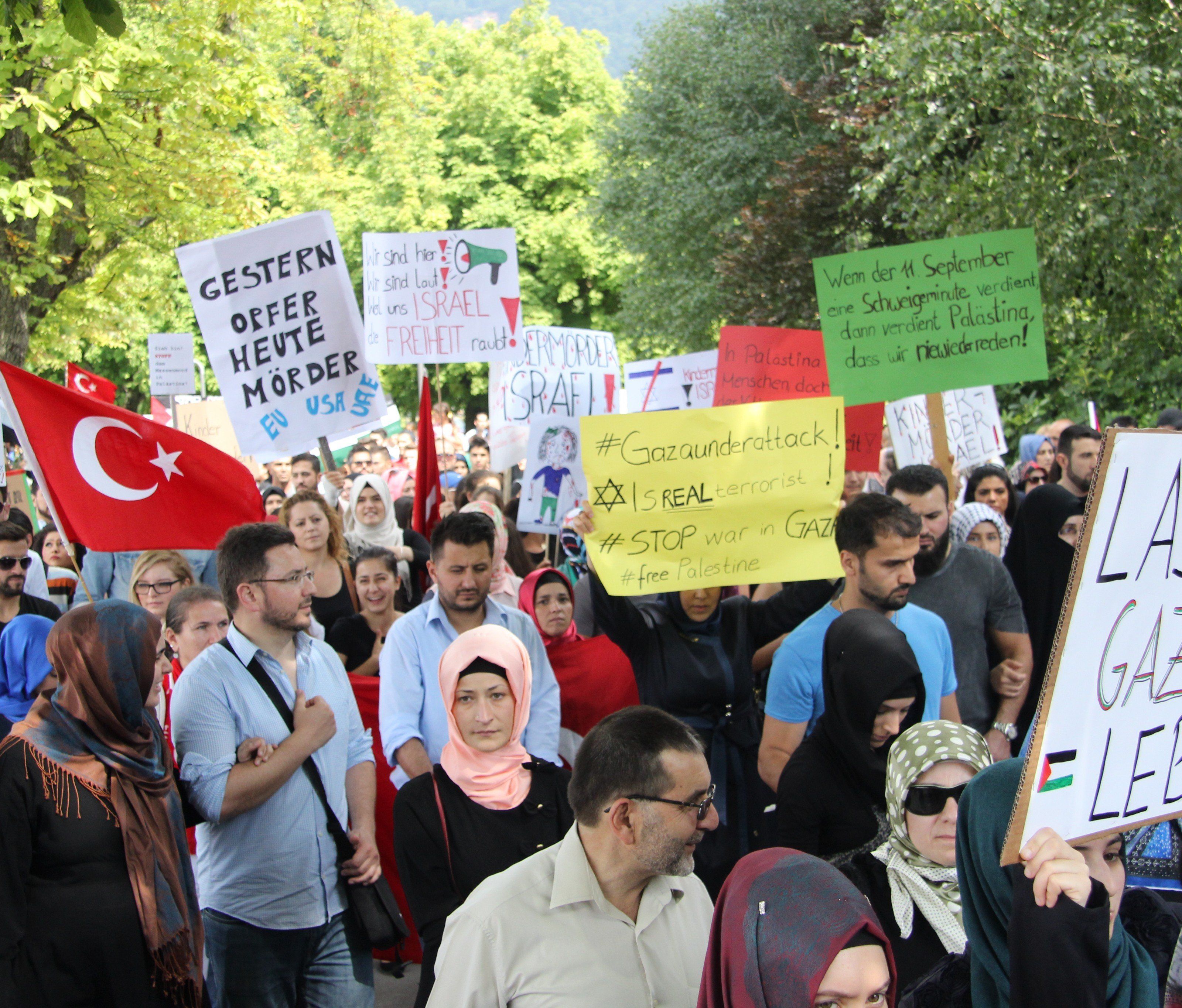 Die pro-palästinensischen Demonstranten bei der Kundgebung in Bregenz. Die pro-palästinensischen Demonstranten bei der Kundgebung in Bregenz.