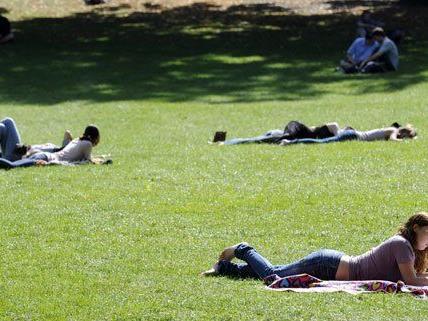 Am 10. August findet im Burggarten ein Picknick statt.