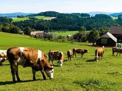 Die Ziele für kulinarische Ausflüge können höchst unterschiedlich sein.