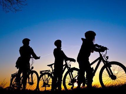 Dank des milden Wetters sind heuer mehr Radfahrer in Wien unterwegs. Dank des milden Wetters sind heuer mehr Radfahrer in Wien unterwegs.