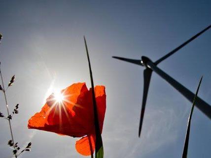In Niederösterreich baut Wien Energie einen neuen Windpark.
