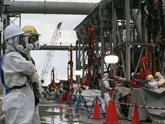 Die Katastrophe in Fukushima zog weite Kreise