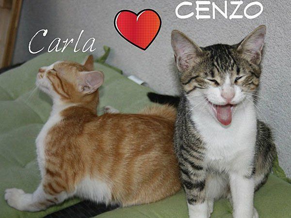 Das sind Carla und Cenzo Das sind Carla und Cenzo
