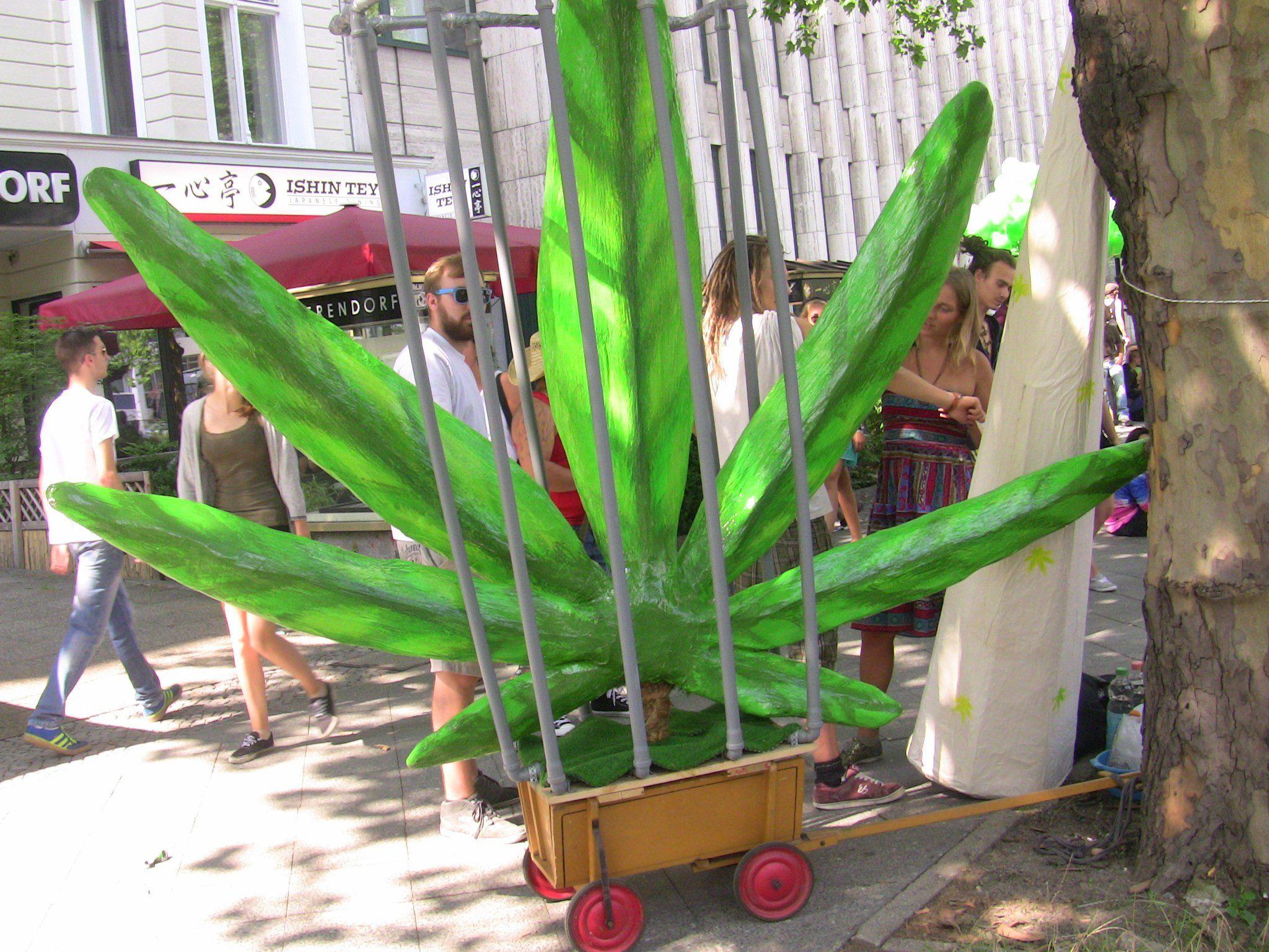 Bereits über 10.000 Unterschriften wurden für die Legalisierung von Cannabis gesammelt.
