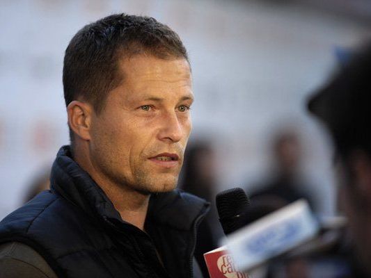 Til Schweiger rettet eine ertrinkende Wespe. Til Schweiger rettet eine ertrinkende Wespe.