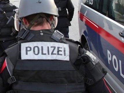 Ex-Freundin eingesperrt: Niederösterreicher von Cobra in OÖ gefasst