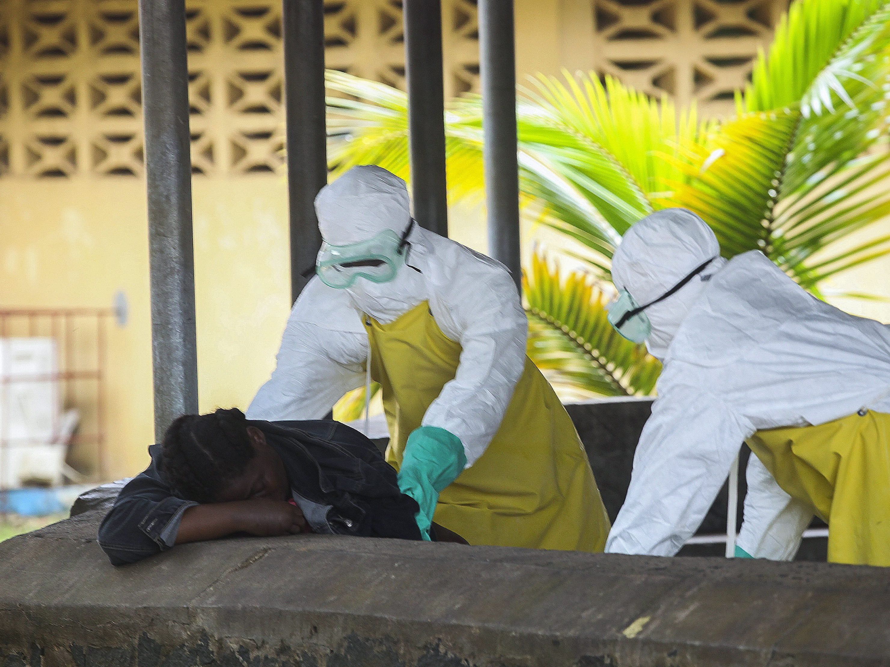 Das Ebola-Virus droht, auf Afrikas bevölkerungsreichstes Land Nigeria überzuspringen. Das Ebola-Virus droht, auf Afrikas bevölkerungsreichstes Land Nigeria überzuspringen.