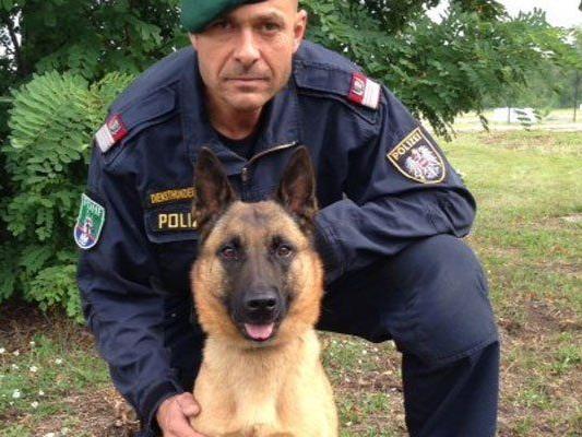 Versuchter Firmeneinbruch in Wien-Meidling: Polizeidiensthund stöbert mutmaßlichen Einbrecher auf