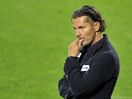 Trainer Gerald Baumgartner hofft auf weiteren Sieg Trainer Gerald Baumgartner hofft auf weiteren Sieg