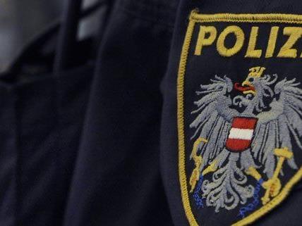 Festnahme nach Diebstahl in Wien