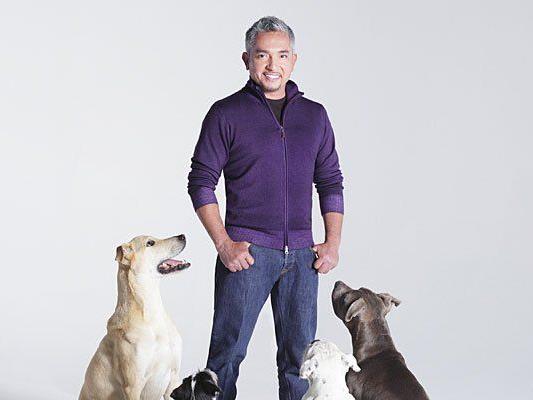 Hat ein besonderes Händchen für Hunde: Profi-Hundeflüsterer Cesar Millan