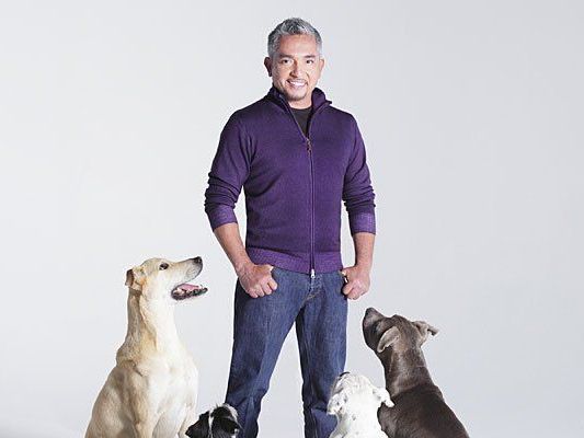 Bei der Show in Wien zeigte Hundeflüsterer Cesar Millan sein Können Bei der Show in Wien zeigte Hundeflüsterer Cesar Millan sein Können