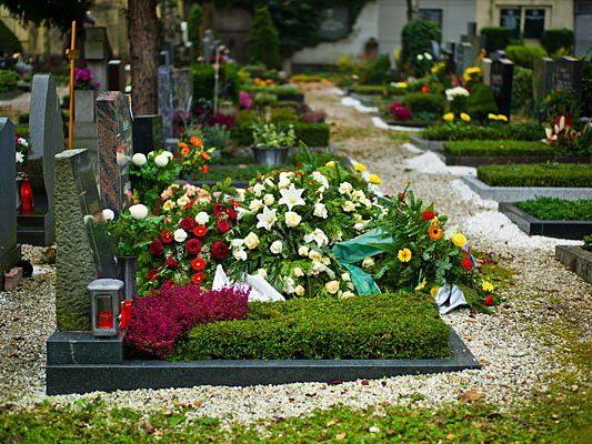 Wie man heuer die Gräber seiner Hinterbliebenen am besten schmückt, verraten die Allerheiligen-Trends